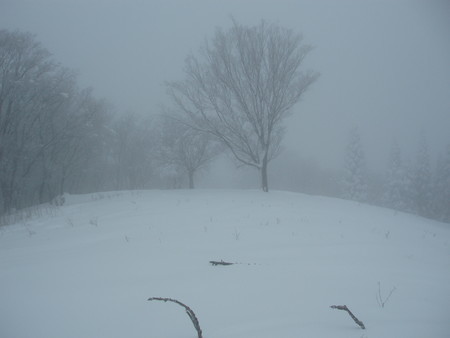 f:id:single779:20201219184236j:plain