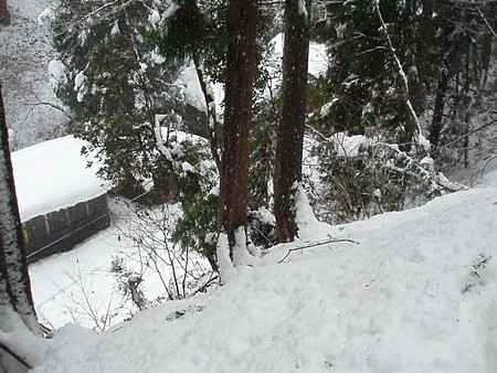 f:id:single779:20201219184534j:plain