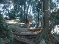 20201222203631 20201222203631