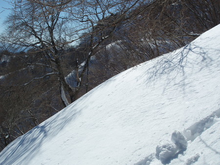 f:id:single779:20210120162212j:plain