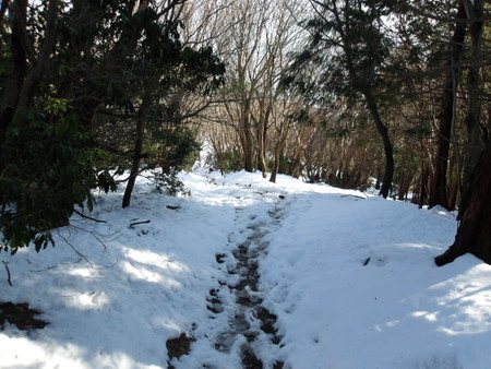 f:id:single779:20211222093426j:plain