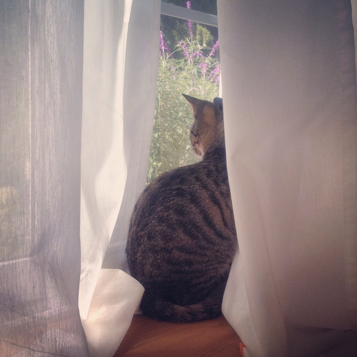 f:id:singlenaritai:20200420214915j:plain