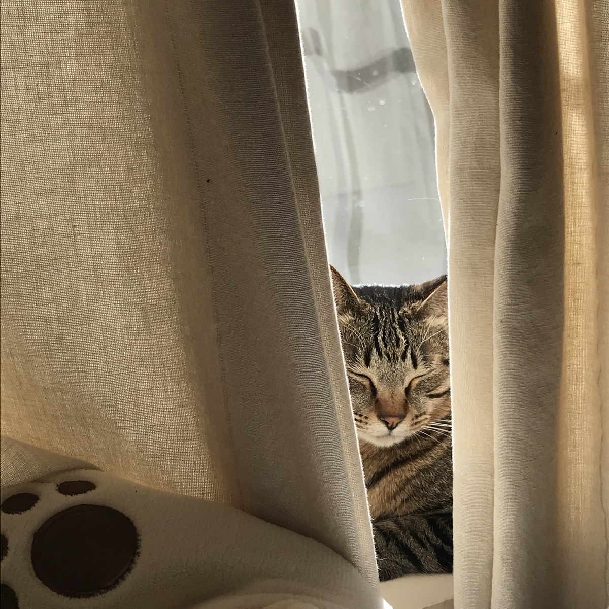 f:id:singlenaritai:20200420214926j:plain