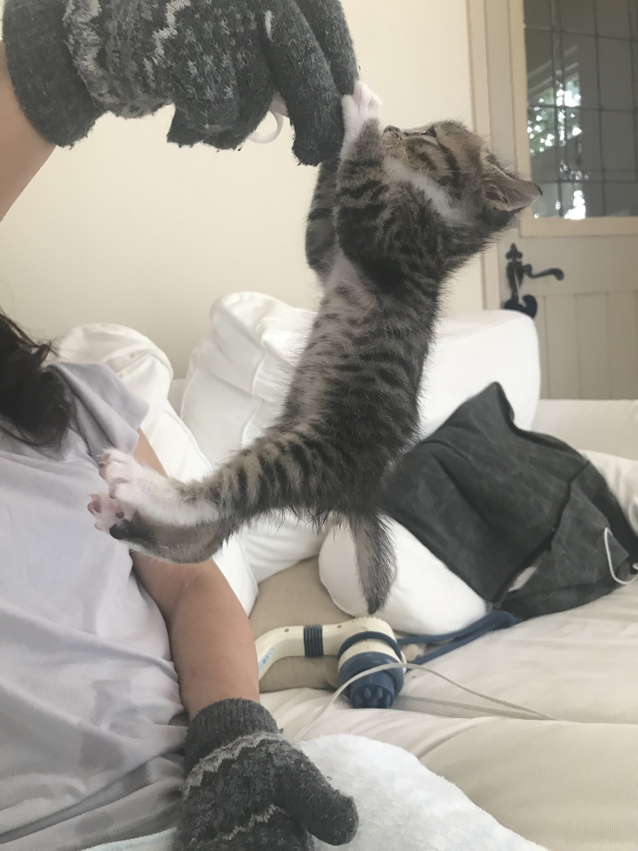 f:id:singlenaritai:20200428215846j:plain