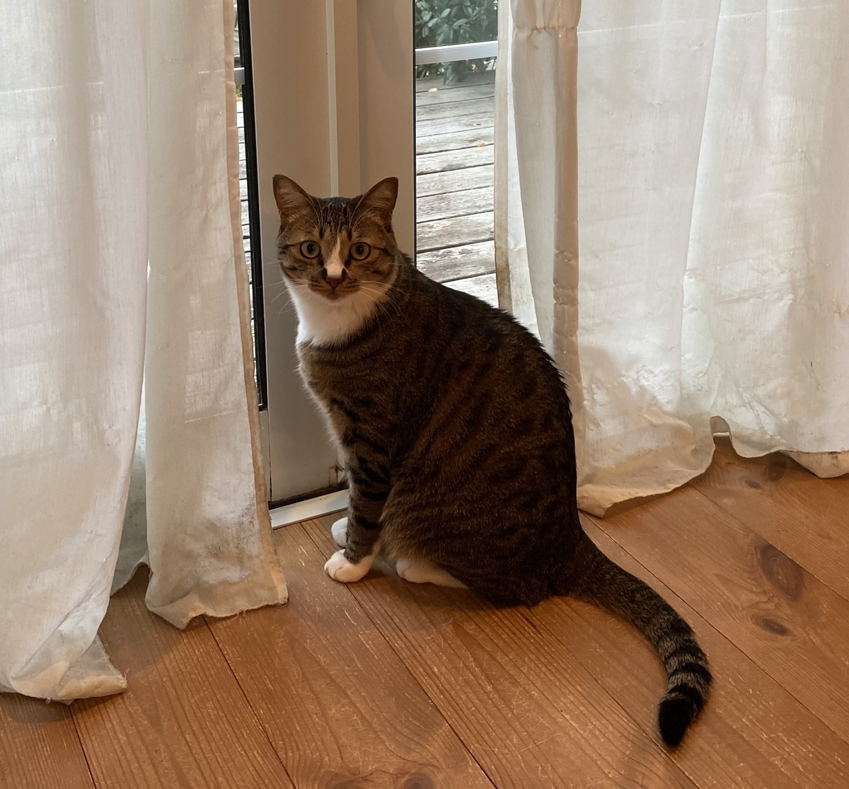 f:id:singlenaritai:20200511153126j:plain