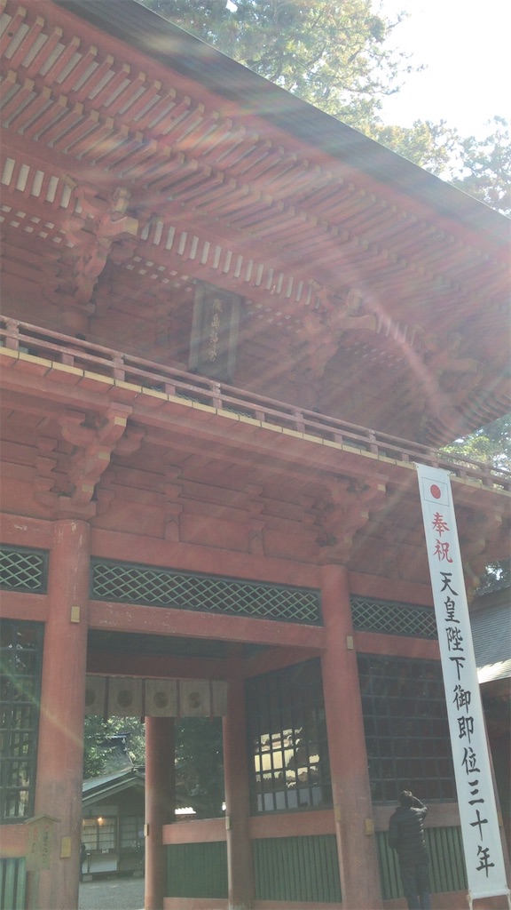 f:id:singyukaring:20190225080543j:image f:id:singyukaring:20190225080543j:image