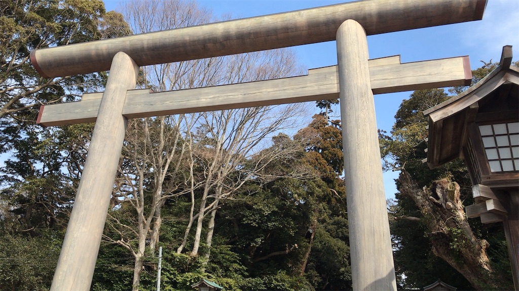 f:id:singyukaring:20190225080657j:image f:id:singyukaring:20190225080657j:image
