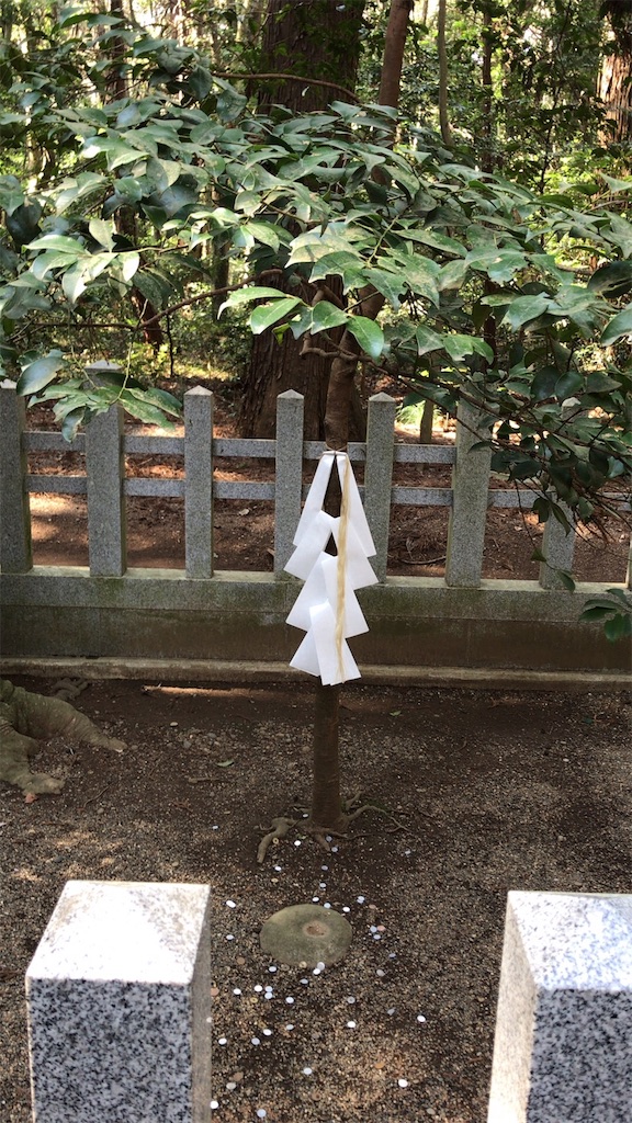 f:id:singyukaring:20190225093801j:image f:id:singyukaring:20190225093801j:image