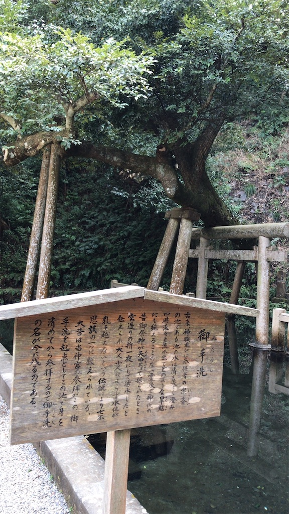 f:id:singyukaring:20190225093823j:image f:id:singyukaring:20190225093823j:image