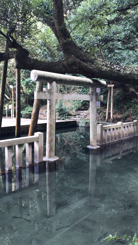 f:id:singyukaring:20190225093853j:image f:id:singyukaring:20190225093853j:image