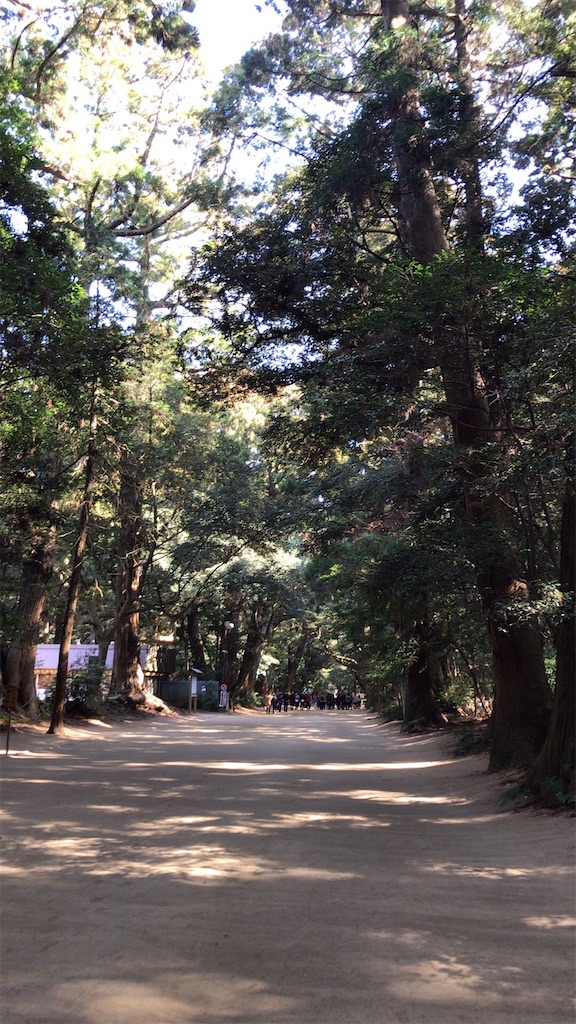 f:id:singyukaring:20190225093858j:image f:id:singyukaring:20190225093858j:image