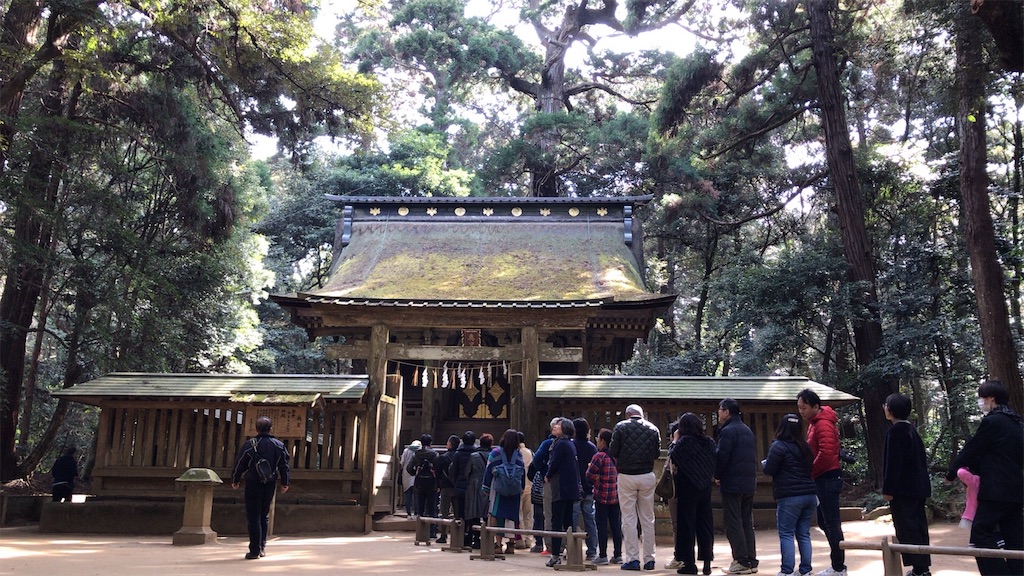 f:id:singyukaring:20190225093920j:image f:id:singyukaring:20190225093920j:image