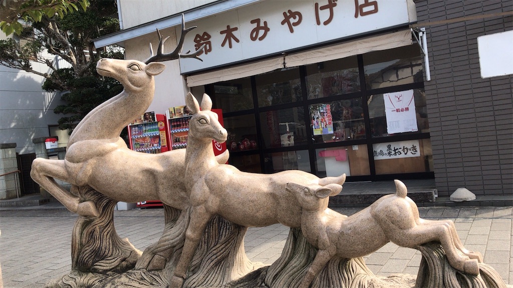 f:id:singyukaring:20190225101950j:image f:id:singyukaring:20190225101950j:image