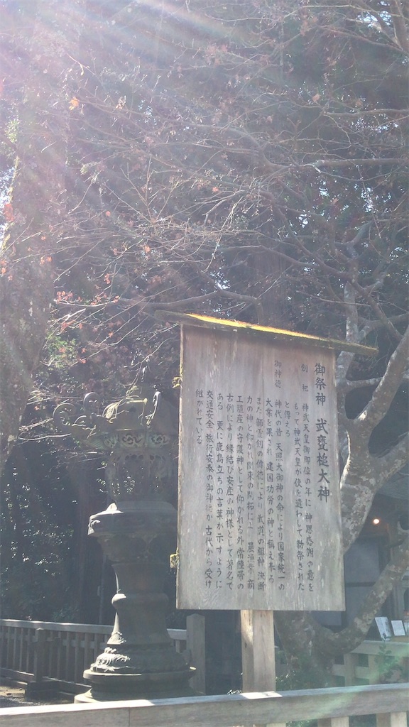 f:id:singyukaring:20190225102456j:image f:id:singyukaring:20190225102456j:image