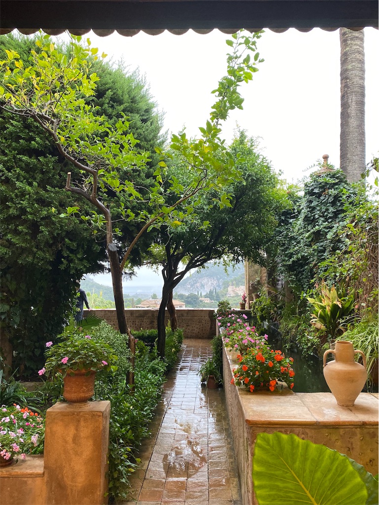 f:id:singyukaring:20191101142914j:image f:id:singyukaring:20191101142914j:image