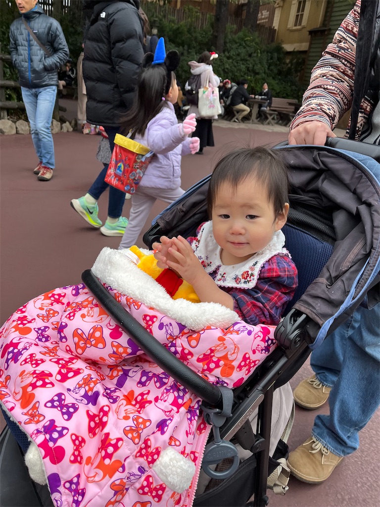 f:id:singyukaring:20231229070303j:image