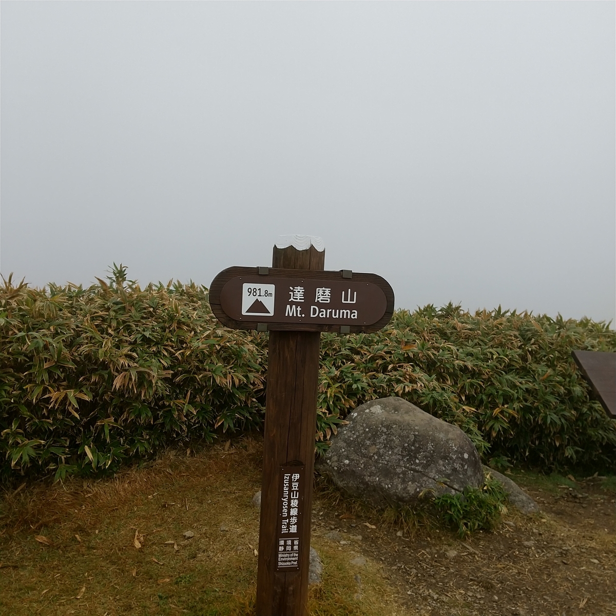 f:id:sinianinarimasite:20211107091909j:plain