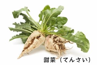 f:id:sinichi1990:20181117120525j:plain