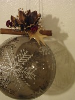 f:id:sinilintu-nao:20091209092125j:image:right