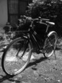 自転車