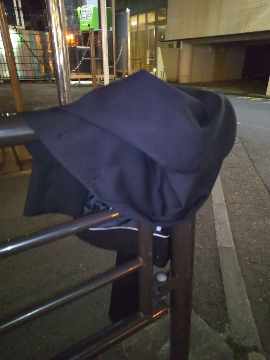 f:id:sinjouuu:20200313232831j:plain