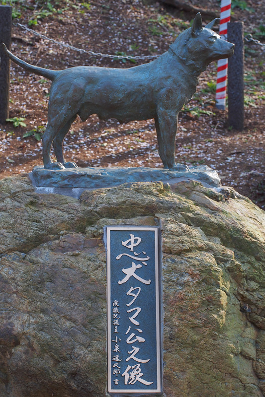 f:id:sink2009:20190406155328j:plain