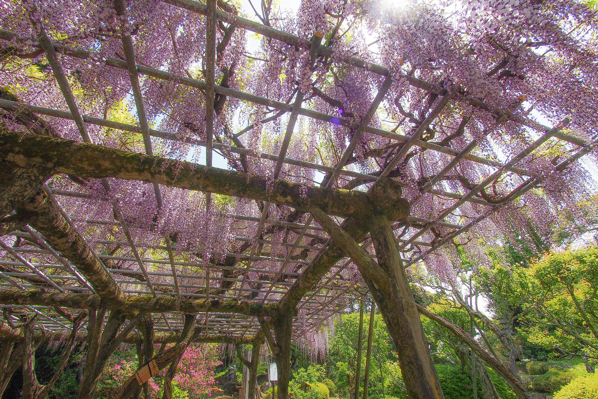 f:id:sink2009:20210425111900j:plain