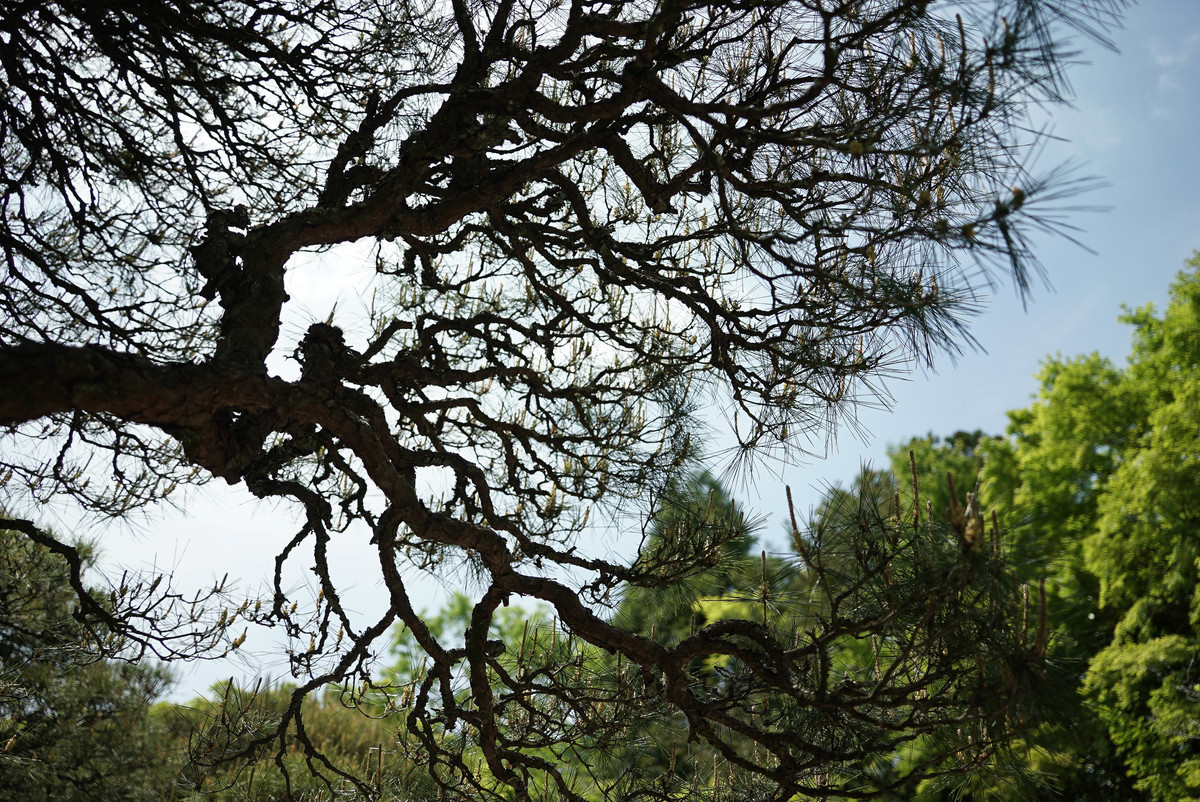 f:id:sink2009:20210425120103j:plain