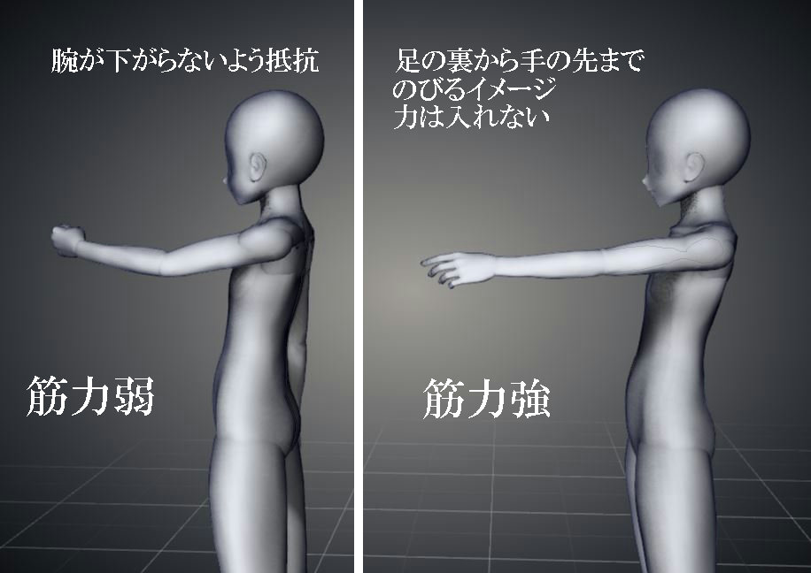 f:id:sinka-body:20200131190202j:plain f:id:sinka-body:20200131190202j:plain