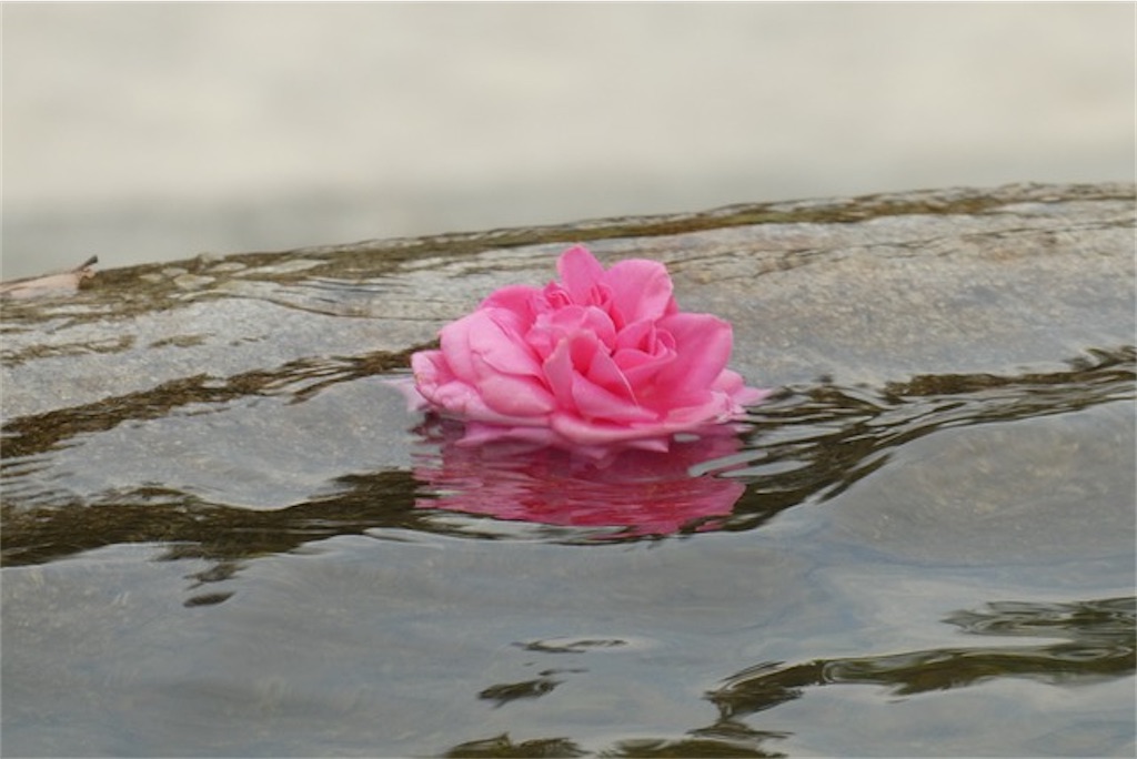 f:id:sinkensin:20260709012626j:image f:id:sinkensin:20260709012626j:image