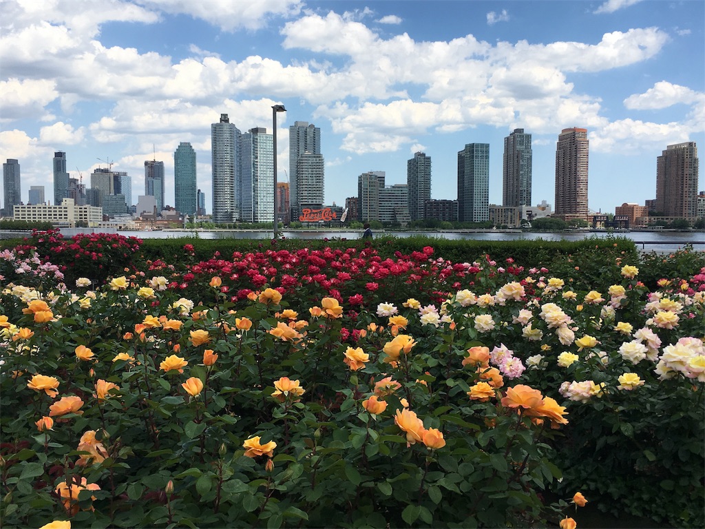 f:id:sinkypooh:20170602071405j:image