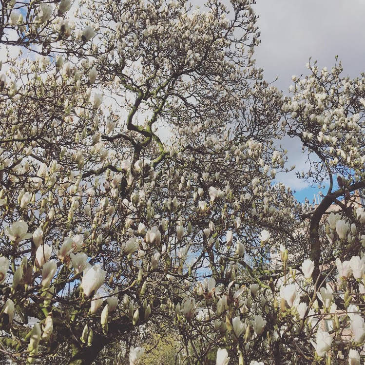 f:id:sinkypooh:20200318005257j:plain