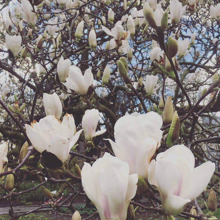 f:id:sinkypooh:20200318010102j:plain