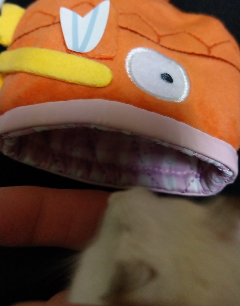 f:id:sinmogera:20190228000158j:plain f:id:sinmogera:20190228000158j:plain