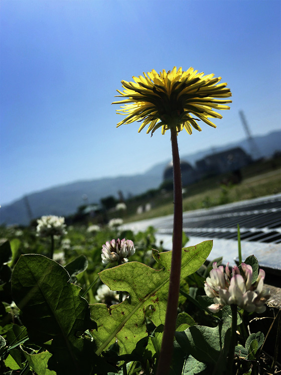 イメージ 3
