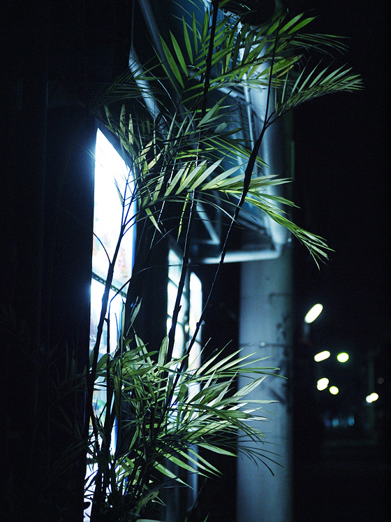 イメージ 1