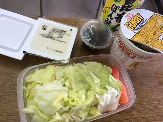 とうとう生野菜弁当に飽きた カレー力 実観