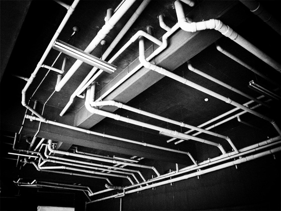 トライXで万全 実観