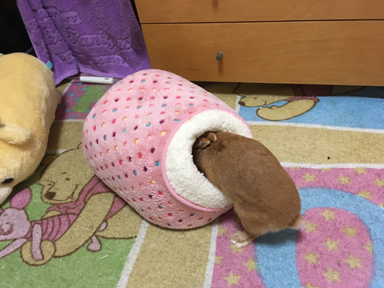 イメージ 2