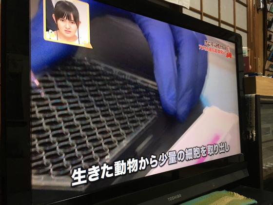 イメージ 2