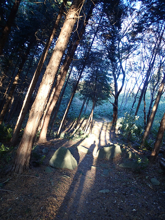 イメージ 4