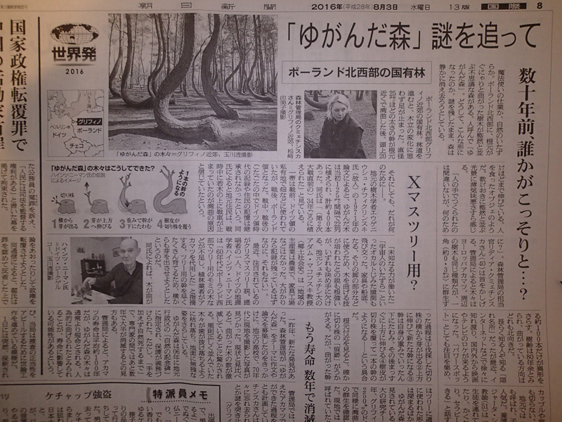 イメージ 1