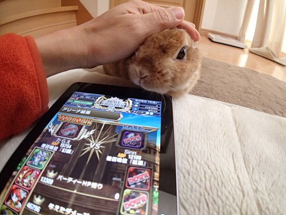 イメージ 1