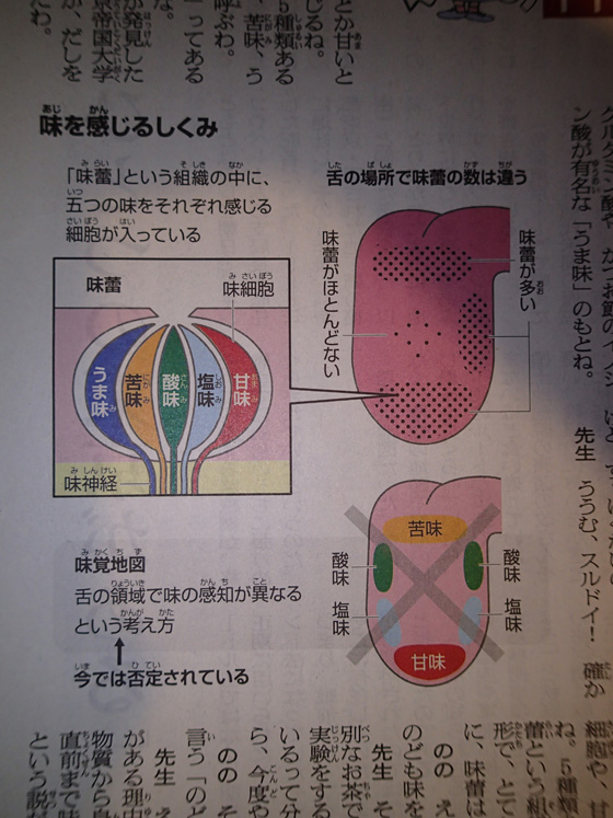 イメージ 3