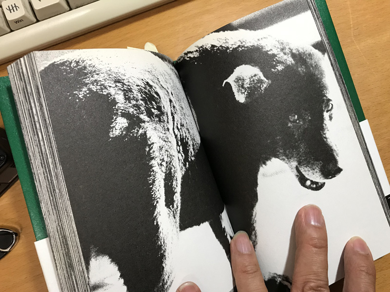 狩人 (森山大道写真集成) 海のモノクロ写真に目覚めた切欠 - 実観