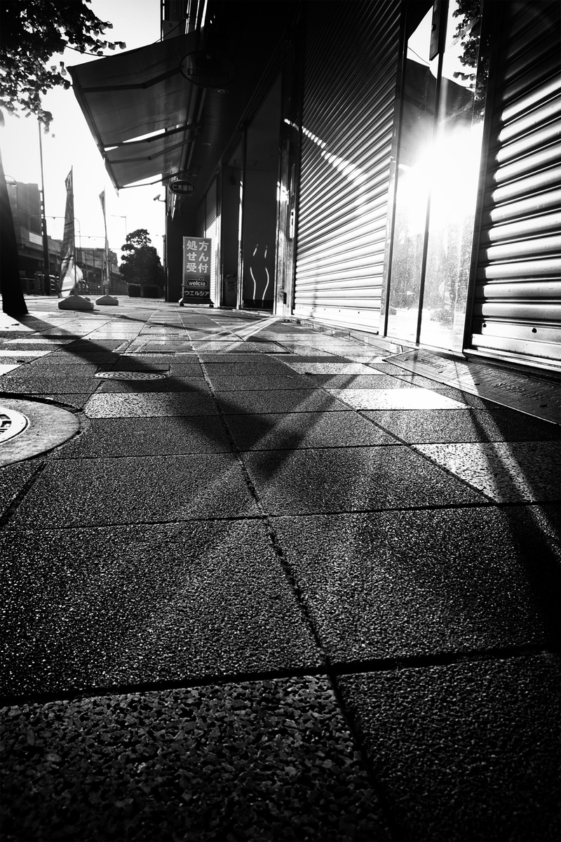 f:id:sinn156:20191022134143j:plain