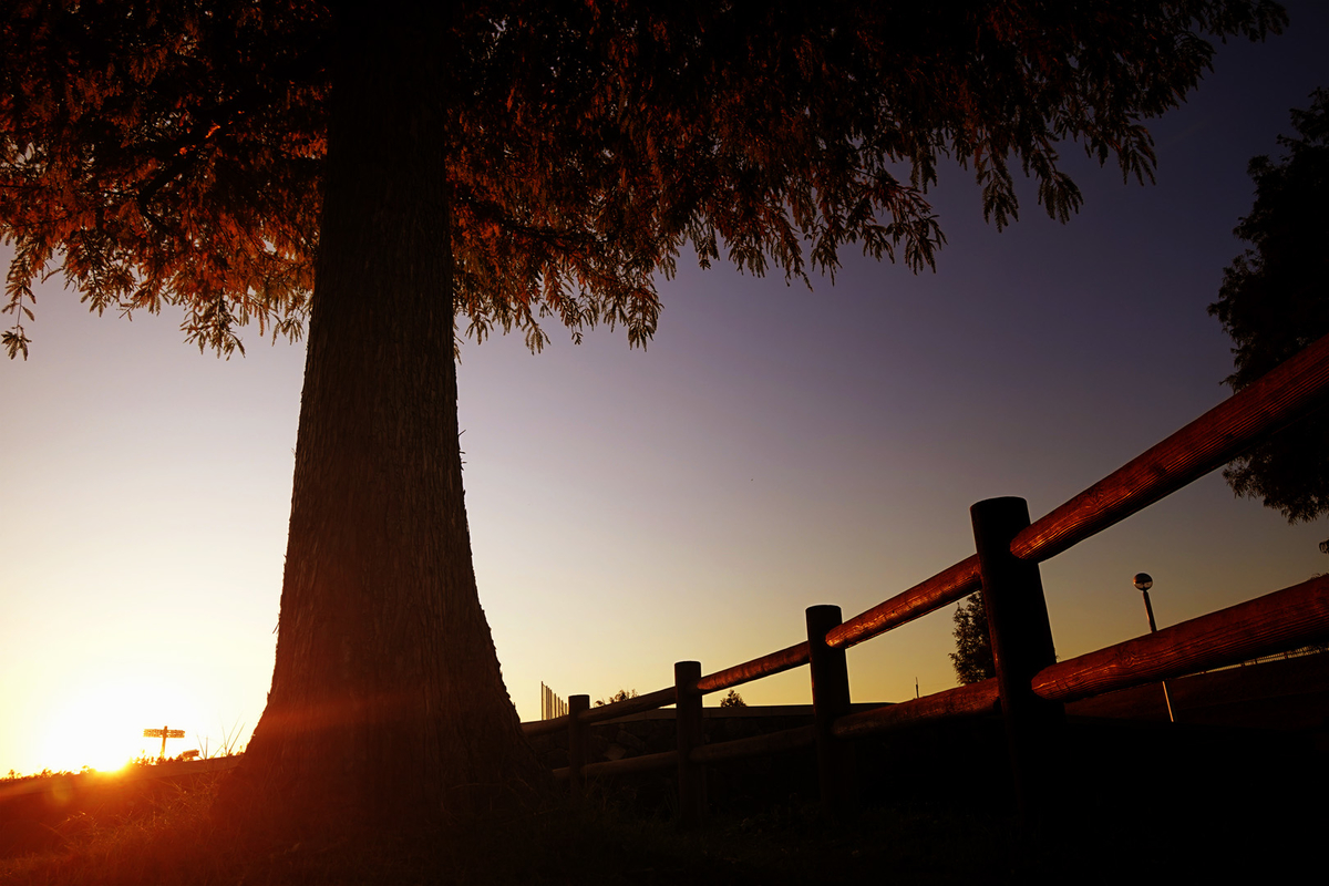 f:id:sinn156:20200129235803j:plain