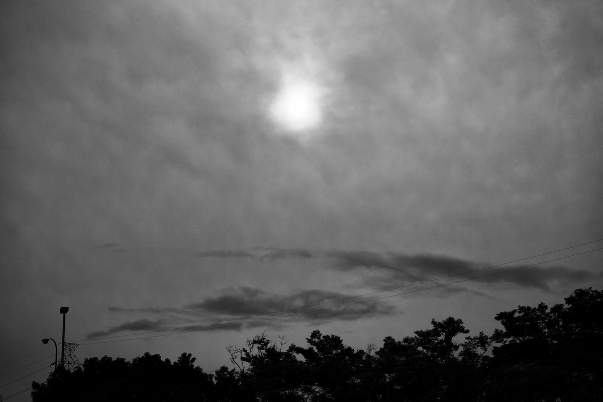 f:id:sinn156:20200722121005j:plain