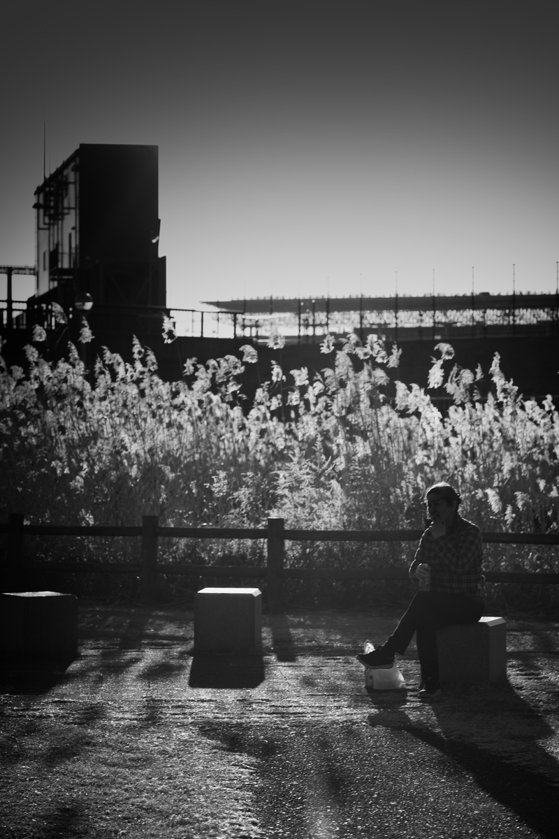 f:id:sinn156:20210201021246j:plain