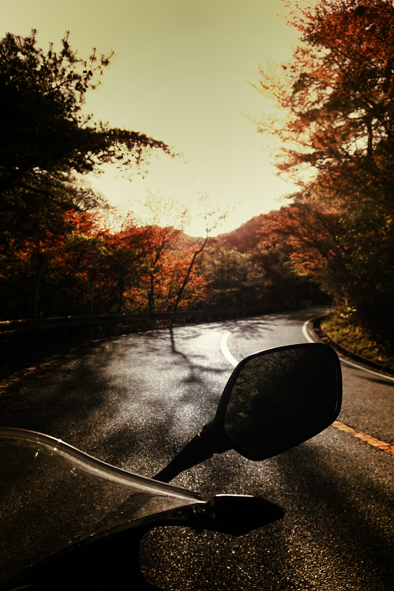 f:id:sinn156:20210415004849j:plain